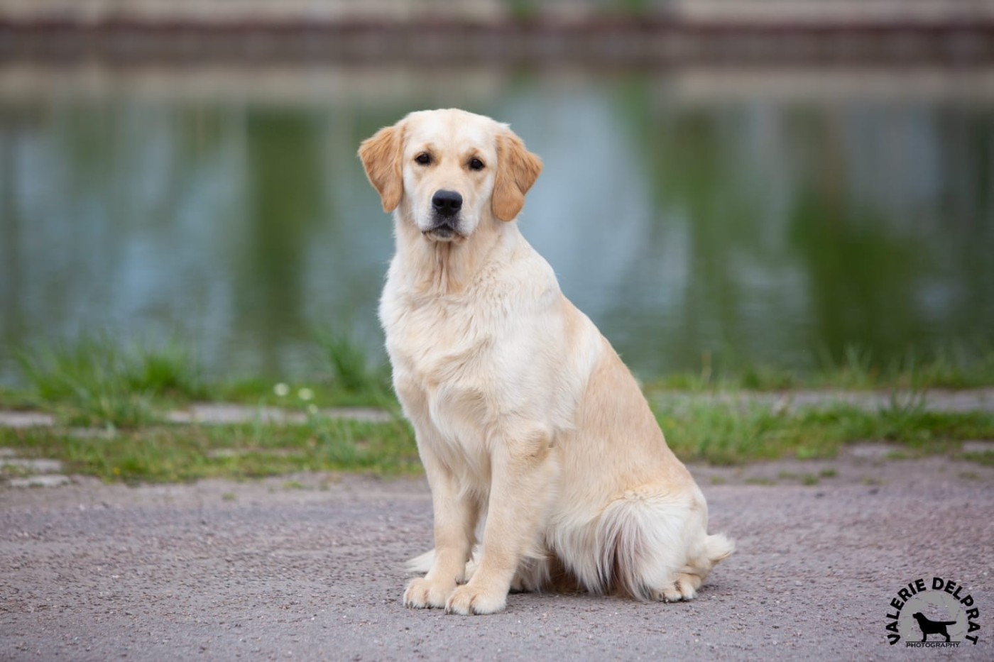 Tout le bonheur du monde dite SEATTLE des Alten de la Burgerie